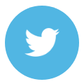 twitter icon